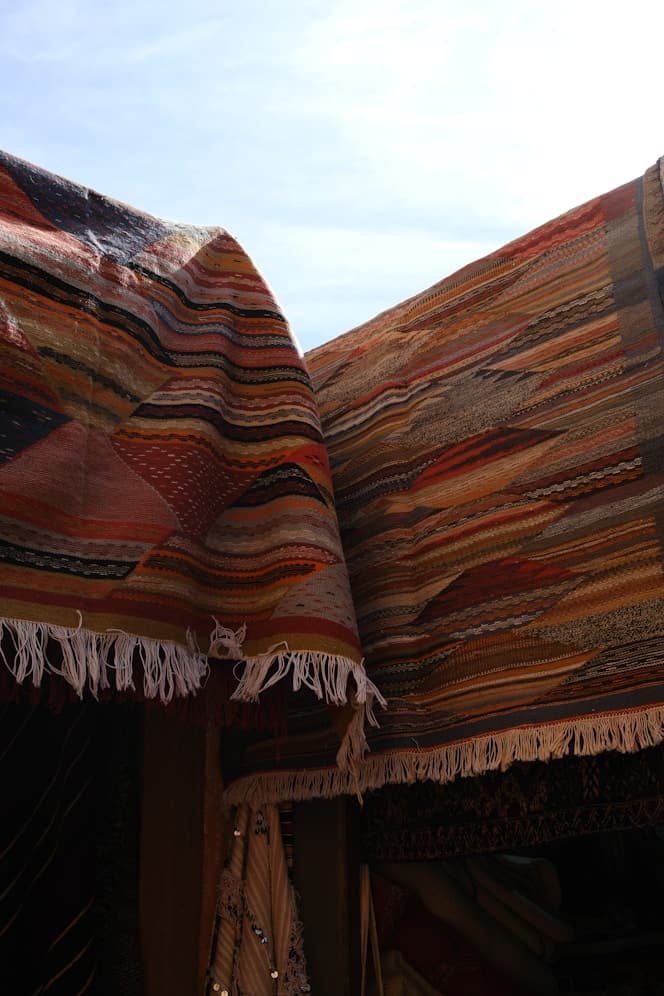 Collection Morazon 3